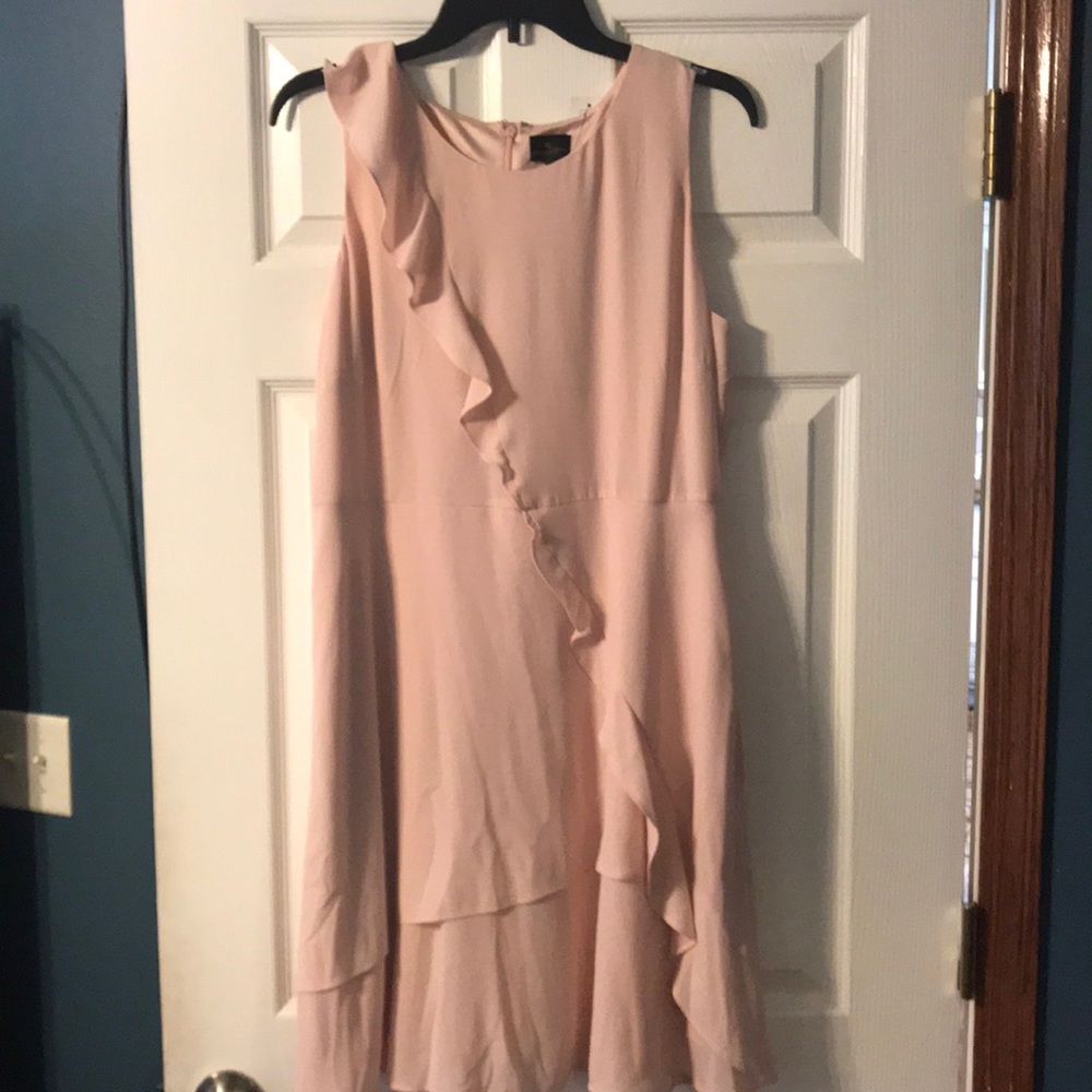 NWT Blush pink dress